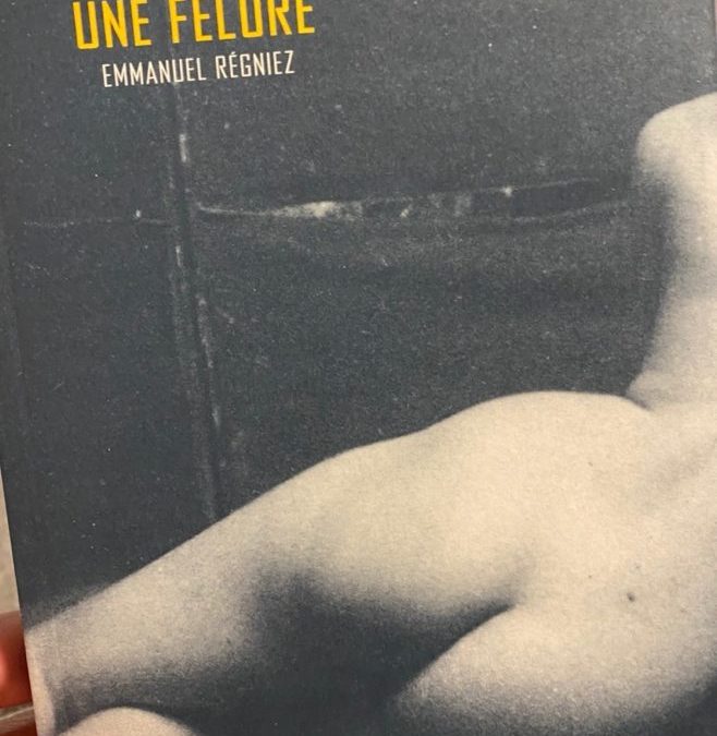 Emmanuel Régniez :  Une fêlure