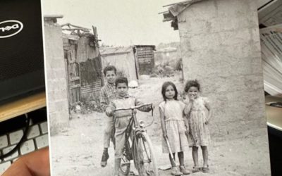 Mehdi Charef : Rue des pâquerettes